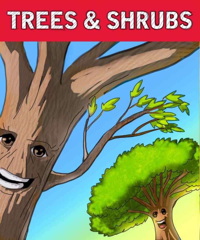 Red Shovel Trees & Shrubs